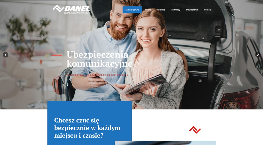 strona-internetowa-danelsc