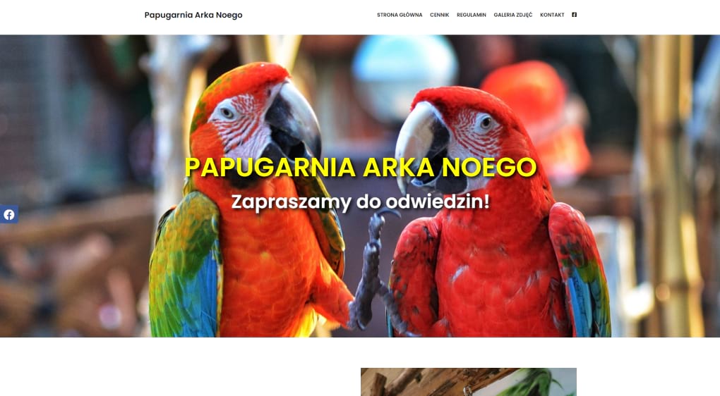 strona-internetowa-papugarnia-arkanoego